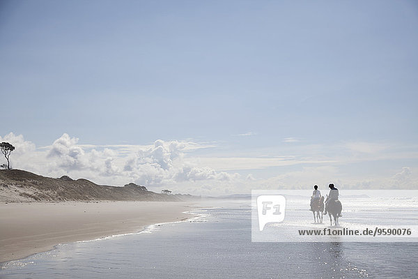 Reiten  Pakiri Beach  Auckland  Neuseeland