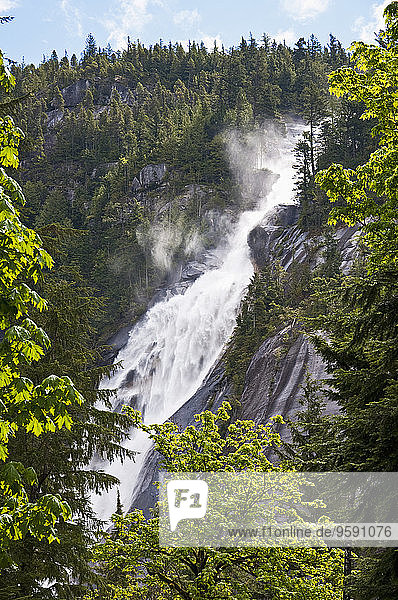 Kanada  Britisch-Kolumbien  Squamish  Shannon Falls  Shannon Falls Provincial Park
