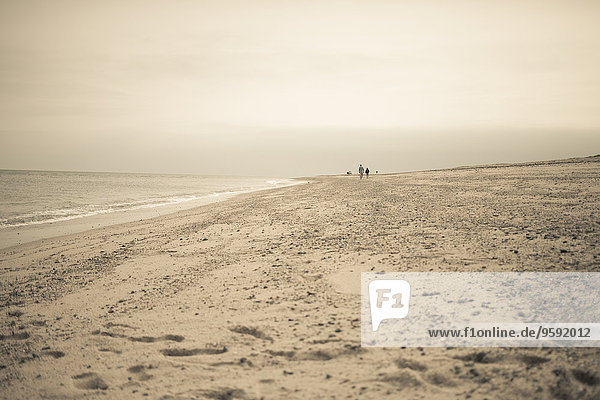 Fernsicht von zwei Menschen  die am Strand spazieren gehen  Truro  Massachusetts  Cape Cod  USA