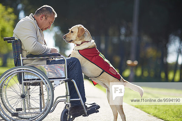Man in wheelchair with dog in park