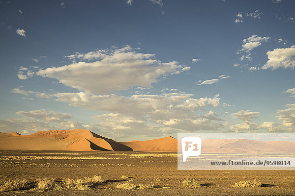 Riesige Sanddüne in der Namibwüste
