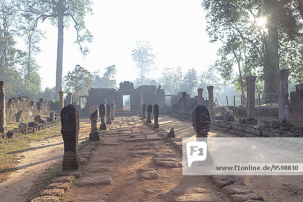 Alter Tempel bei Sonnenaufgang  Siem Reap  Kambodscha