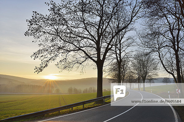 Morgen Fernverkehrsstraße Deutschland Niedersachsen Sonne