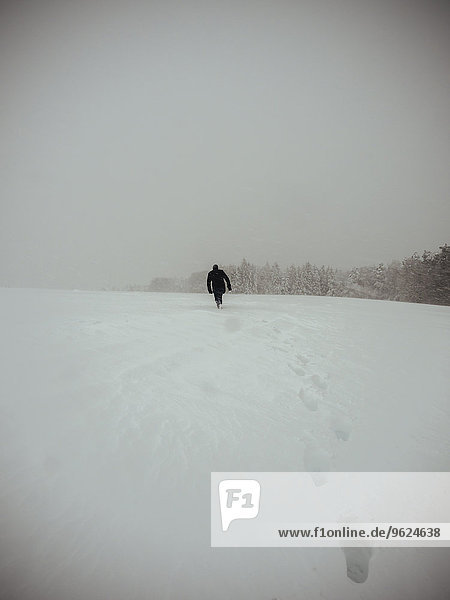 Germany  Black Forest  man walking in snow  in stormy weather