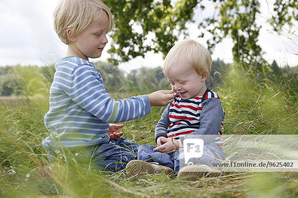 Two little brothers sitting on a meadow