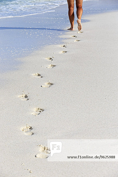Ecuador  Galapagos Islands  Espanola  tourist walking on beach