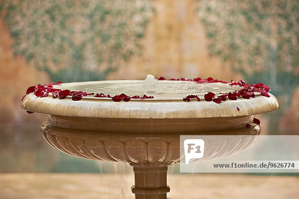 Marokko  Fes  Hotel Riad Fes  Marmorbrunnen mit roten Rosenblättern