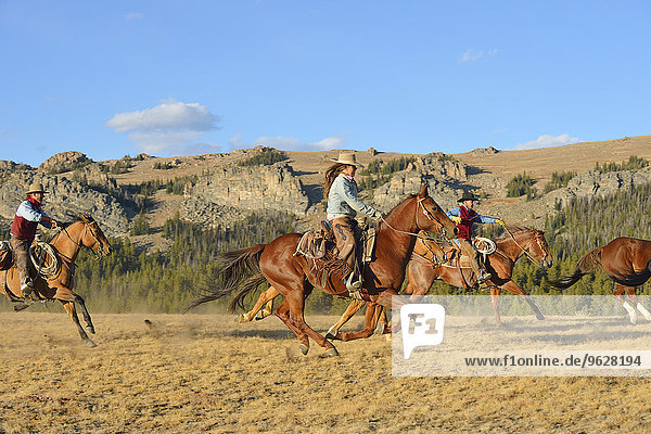 USA  Wyoming  Cowboys und Cowgirl hüten Pferde in der Wildnis