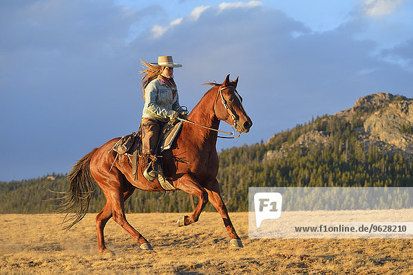 USA  Wyoming  Reiten Cowgirl