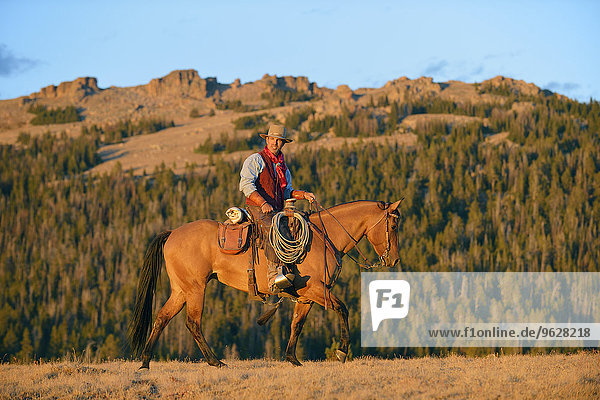 USA  Wyoming  cowboy riding at evening light