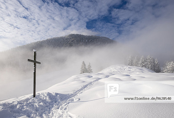 Deutschland  Bayern  Oberbayern  Mangfallgebirge  Hocheck bei Oberaudorf  Gipfelkreuz im Schnee