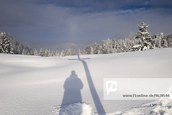 Germany  Bavaria  Upper Bavaria  Mangfall Mountains  Hocheck near Oberaudorf  Shadow of summit cross and man in snow