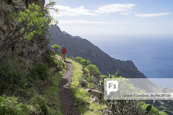 Spain  Canary Islands  La Gomera  Valle Gran Rey  Lomo del Carreton near Taguluche  hiker