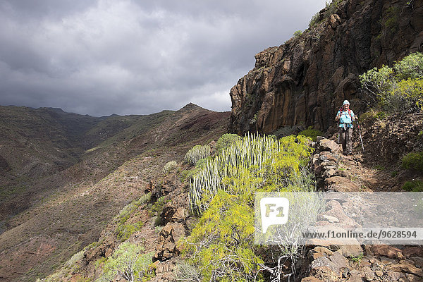 Canary Islands  La Gomera  Alajero  woman walking on hiking trail Sendero Quise