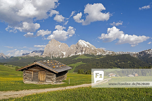 Italy  South Tyrol  Seiser Alm  Langkofel and Plattkofel  alpine hut in foreground