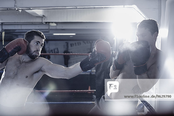 Zwei Boxer kämpfen im Ring