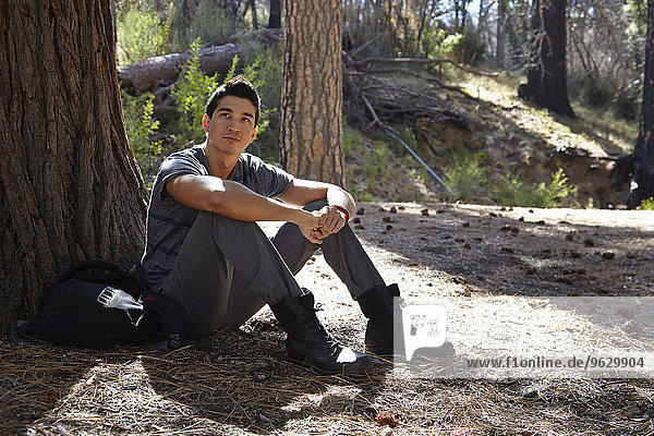 Portrait of young man sitting in forest  Los Angeles  California  USA