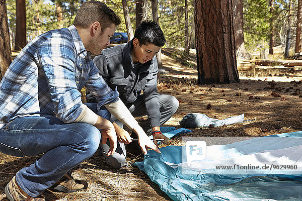 Zwei junge Männer beim Zelten im Wald  Los Angeles  Kalifornien  USA