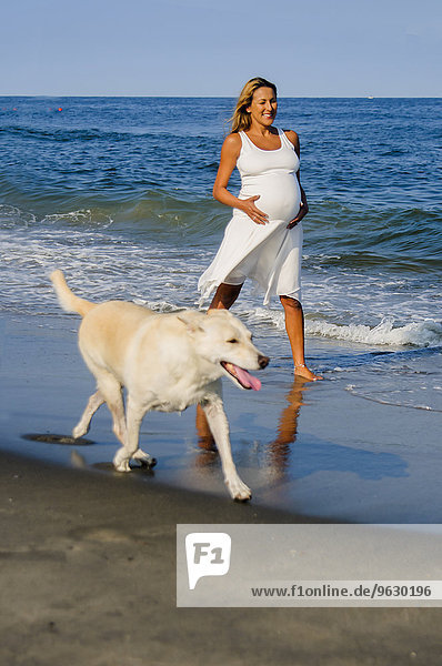Schwangere reife Frau Spaziergang Hund am Strand