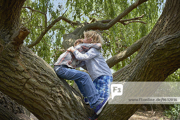 Zwei Brüder umarmen sich im Waldbaum