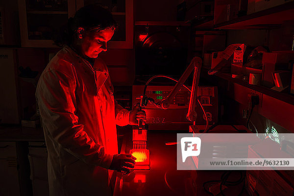 Krebsforschungslabor  Photodynamische Therapie  Photochemotherapie  Wissenschaftlerin mit lichtempfindlichen Medikamenten zur Behandlung von Krebszellen