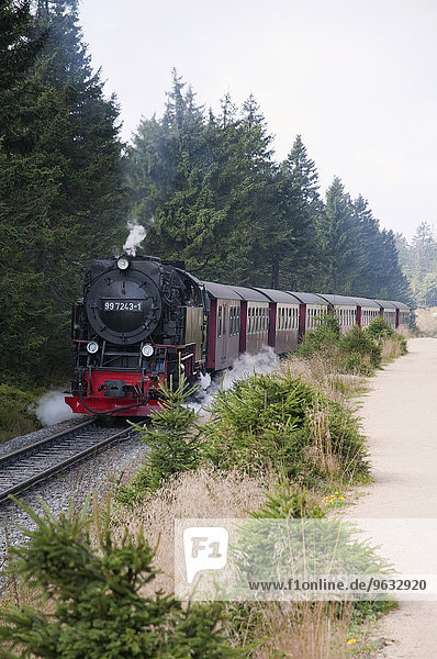 Steam train passing through Harz National Park