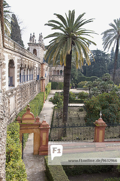View of Alcazar palace