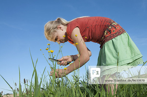Girl (10-11) in meadow  examining flowers through magnifying glass