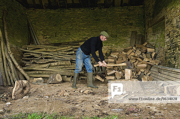 Haufen Mann Axt Holz hacken geschnitten