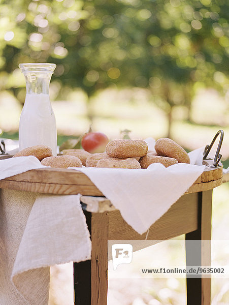 An apple orchard in Utah. A table with food.