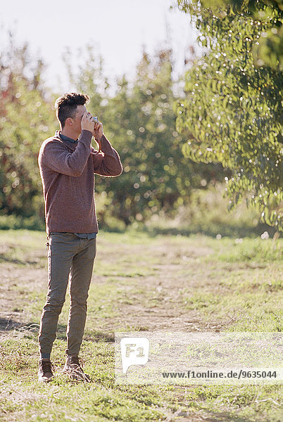 An apple orchard in Utah. Man taking a picture.