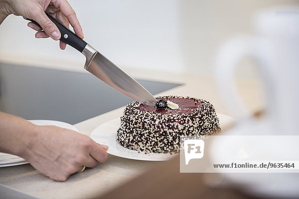 Woman cutting a chocolate cake in a kitchen