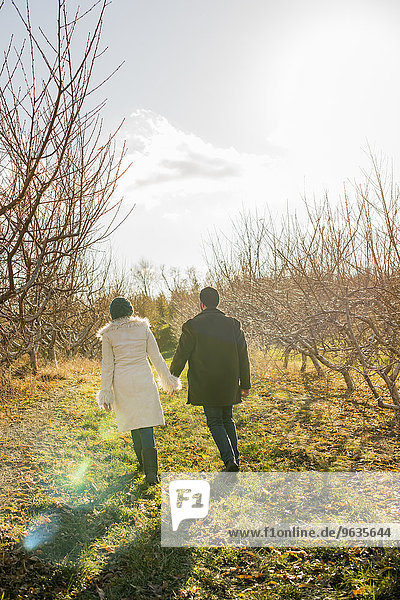 Two people  a couple walking in an orchard in winter.
