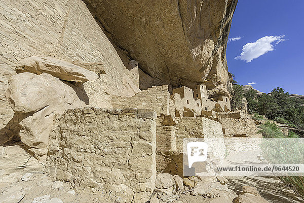 Cliff Palace Felsbehausung  Mesa-Verde-Nationalpark  Colorado  USA  Nordamerika