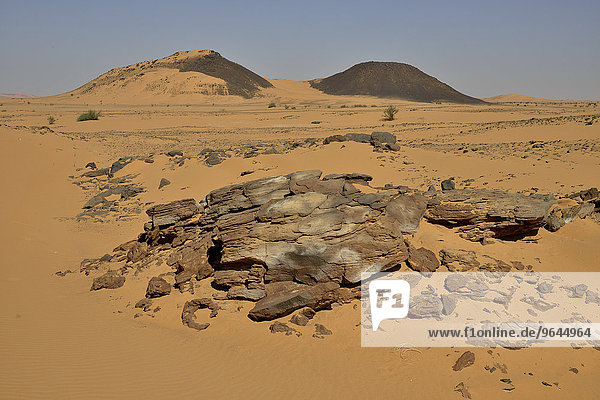 Landschaft in der Bayuda-Wüste  asch-Schamaliyya  Nubien  Sudan  Afrika