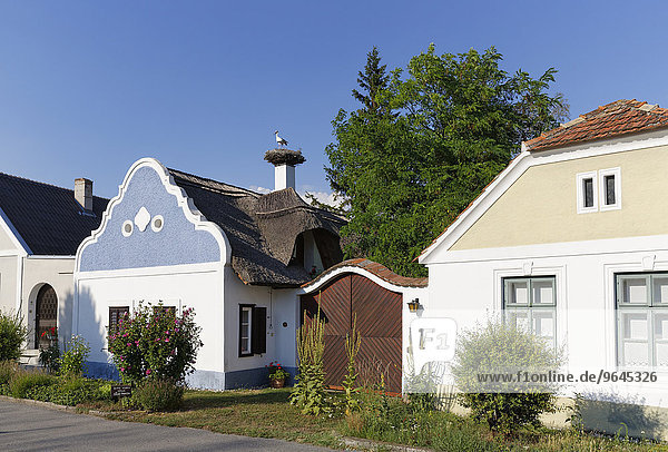 Hufnagl-Haus mit Storchennest  Apetlon  Seewinkel  Nordburgenland  Burgenland  Österreich  Europa