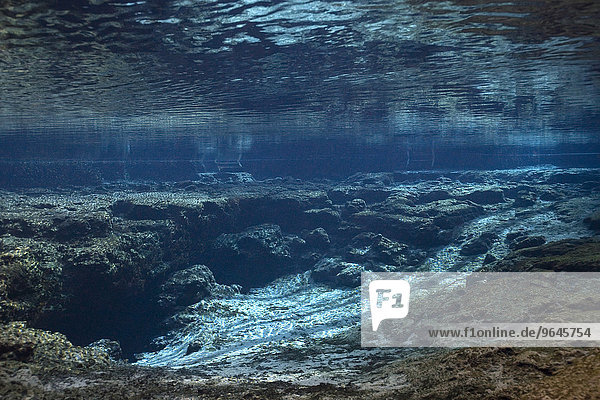 Ginnie Springs Höhle mit Süßwasserquelle am Santa Fe River  Florida  USA  Nordamerika