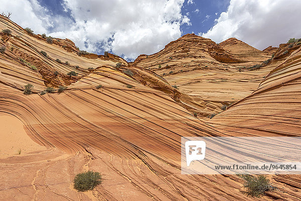 Rock formations of the Teepees South Coyote Butt Marble Canyon Arizona United States North America