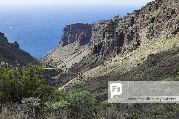 Barranco de Guaranel and the Tejeleche Mountains  Valle Gran Rey  La Gomera  Canary Islands  Spain  Europe
