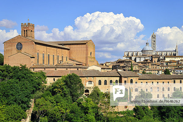 Altstadt mit der Basilica di San Domenico und dem Dom von Siena,  Cattedrale di Santa Maria Assunta,  Siena,  Provinz Siena,  Toskana,  Italien,  Europa