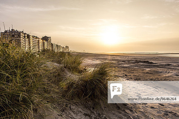 Hochhäuser am Strand im Küstenort Nieuwpoort  Flandern  Belgien  Europa