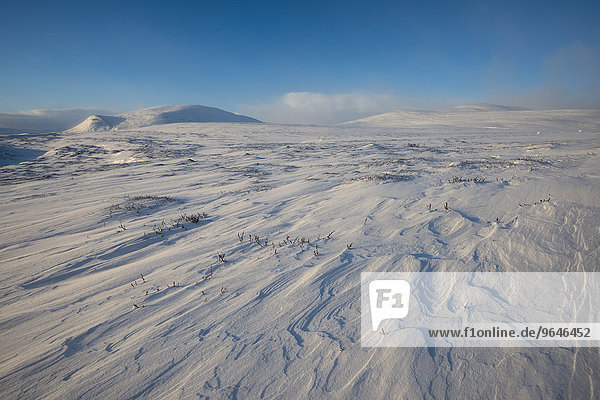 Fjell im Winter  schneebedeckte Landschaft  Dovrefjell-Sunndalsfjella-Nationalpark  Norwegen  Europa