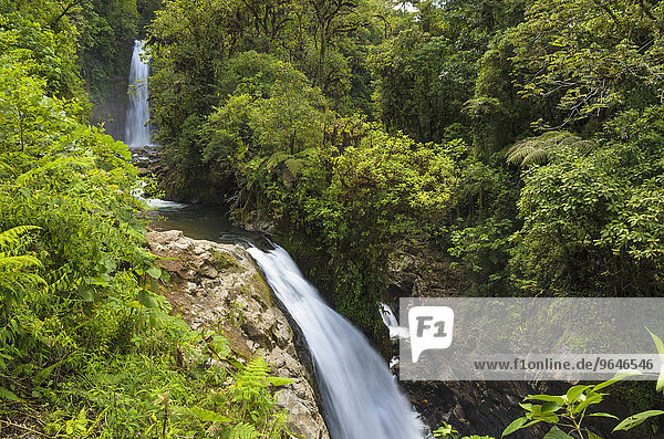 Wasserfälle im Regenwald  Vara Blanca  Alajuela  Costa Rica  Nordamerika