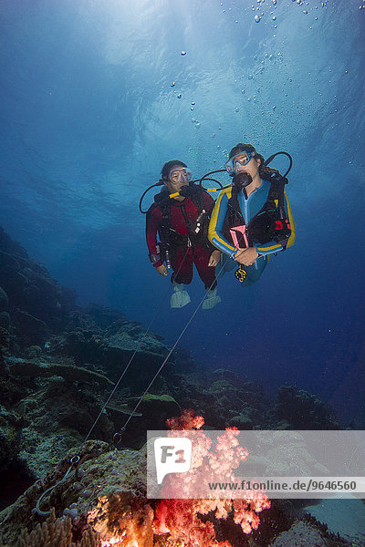 Two divers on a reef hook in open water  Palau  Oceania