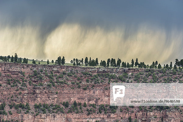 Approaching thunderstorm  Red Canyon  Dutch John  Utah  United States  North America