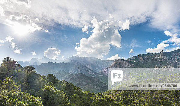Kiefern-bewachsene felsige Landschaft mit Wolkenhimmel  Col de Bavella  Bavella-Massiv  Korsika  Frankreich  Europa