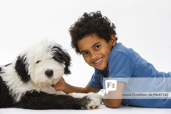Junge  8 Jahre  schmust mit einem Bobtail  Old English Sheepdog  Junghund  4 Monate