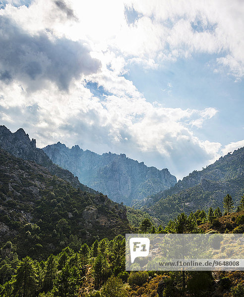 Wolken über bewaldeten Berge  Corte  Département Haute-Corse  Korsika  Frankreich  Europa