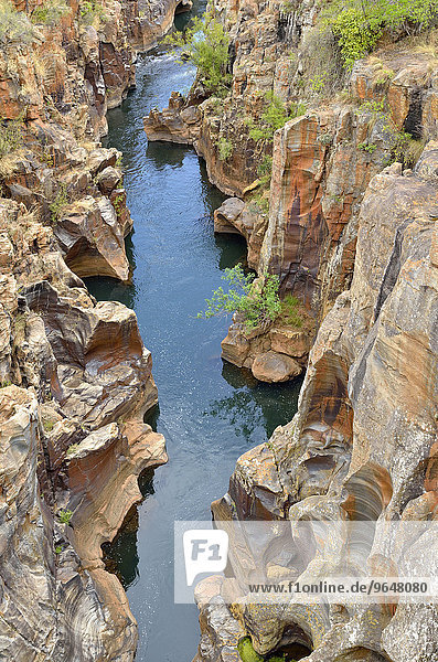 Bourke's Luck Potholes  Auswaschungen und Strudellöcher  auch Kolke  im Dolomitgestein  Blyde River Canyon Nature Reserve  Provinz Mpumalanga  Südafrika