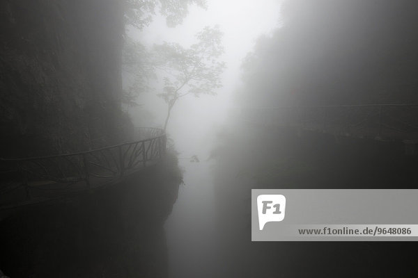 Hiking trail in fog  Tianmen Mountain  Tianmen Mountain National Park  Yongding  Zhangjiajie  China  Asia